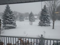 01 First snowfall of the season - January 17, 2022